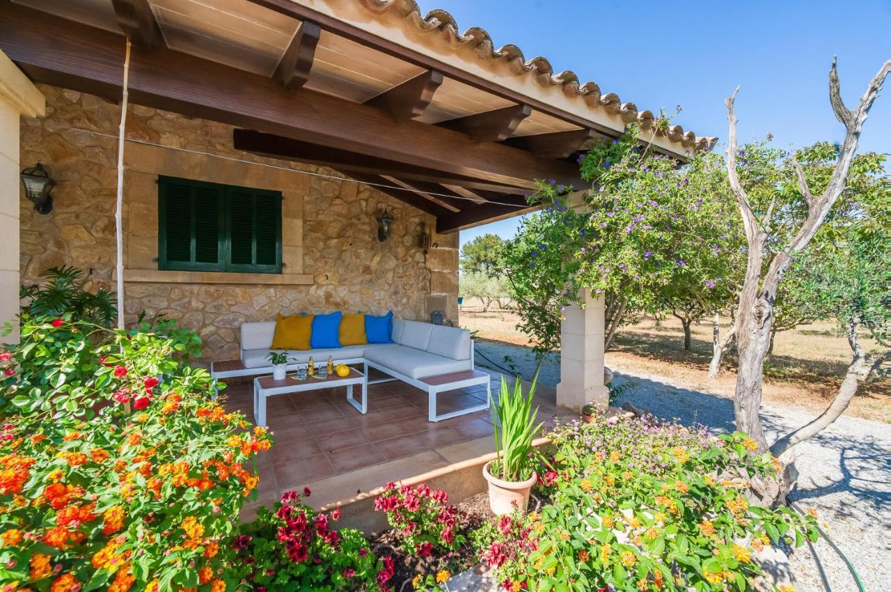 Ideal Property Mallorca - Can Carabassot Pollensa Zewnętrze zdjęcie